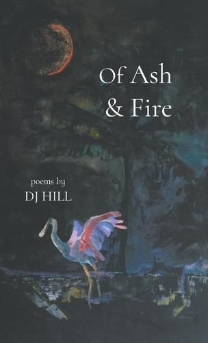 Cover image for Of Ash & Fire
