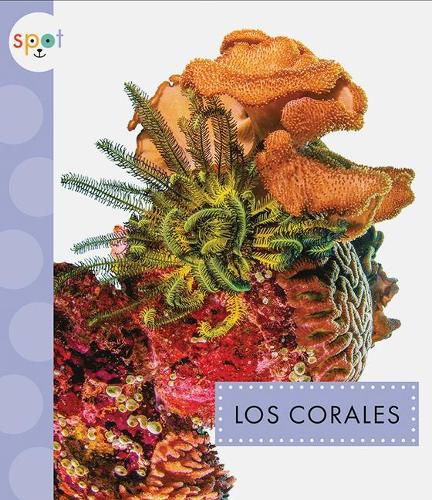 Cover image for Los Corales