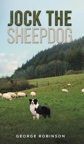 Cover image for Jock the Sheepdog