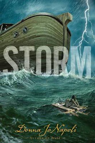 Cover image for Storm