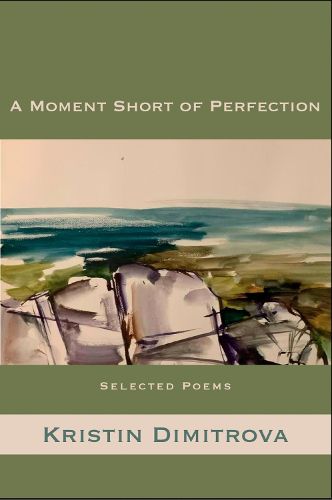 Cover image for A Moment Short of Perfection