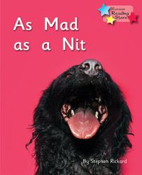 Cover image for As Mad as a Nit: Phonics Phase 2