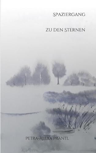 Cover image for Spaziergang zu den Sternen