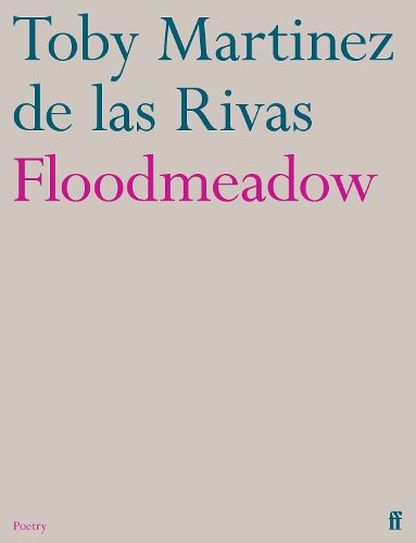 Cover image for Floodmeadow