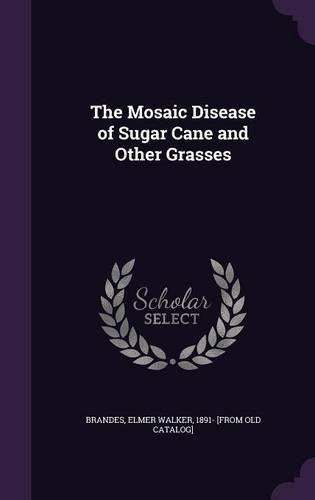 Cover image for The Mosaic Disease of Sugar Cane and Other Grasses