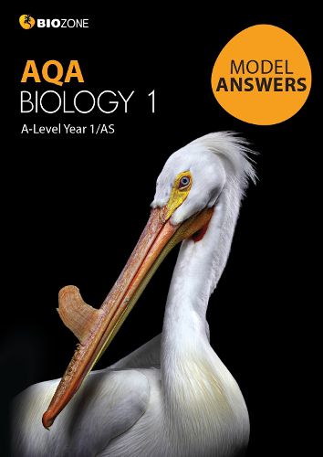Cover image for AQA Biology 1 Model Answers