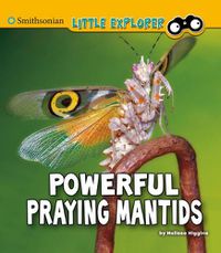 Cover image for Powerful Praying Mantids