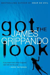 Cover image for Got the Look