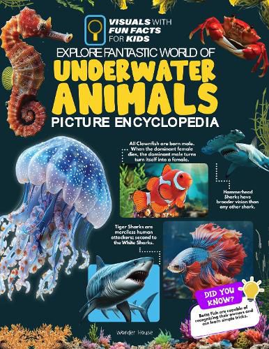 Cover image for Explore Fantastic World of Underwater Picture Encyclopedia