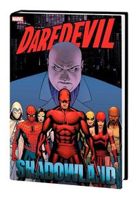 Cover image for Daredevil: Shadowland Omnibus Cassaday Cover (new Printing)