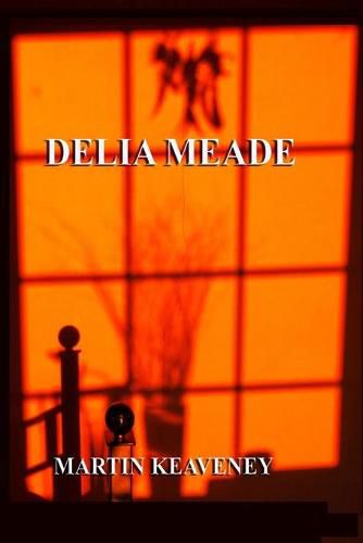 Cover image for Delia Meade