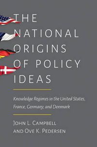 Cover image for The National Origins of Policy Ideas: Knowledge Regimes in the United States, France, Germany, and Denmark