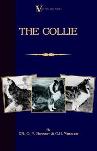 Cover image for The Collie (A Vintage Dog Books Breed Classic)