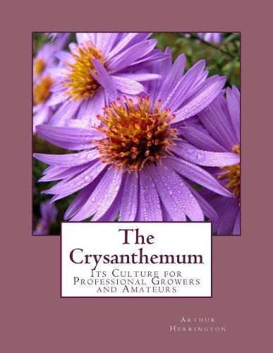 Cover image for The Crysanthemum: Its Culture for Professional Growers and Amateurs