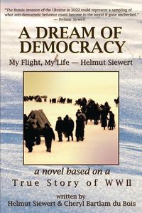 Cover image for A Dream of Democracy