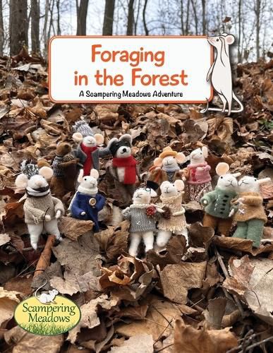 Cover image for Foraging in the Forest