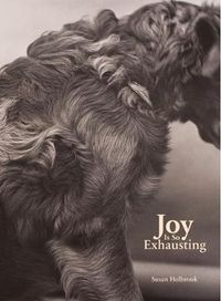 Cover image for Joy Is So Exhausting