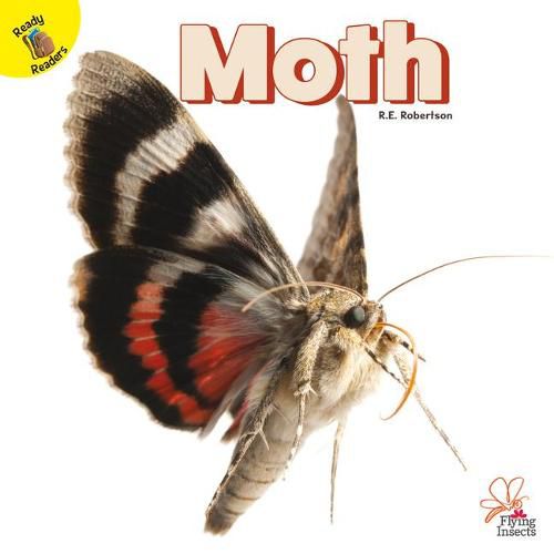 Moth