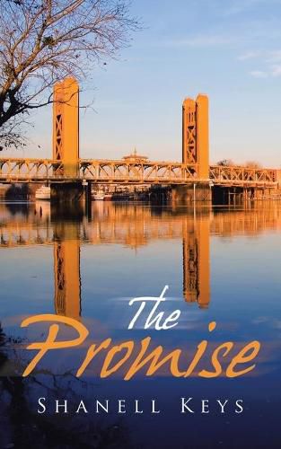 Cover image for The Promise