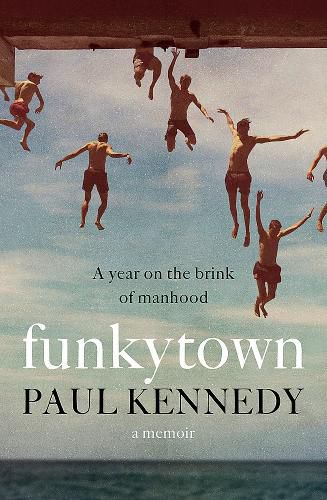 Cover image for Funkytown
