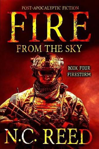 Cover image for Fire From the Sky