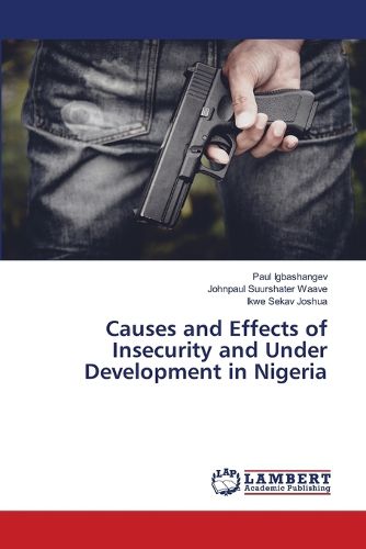 Causes and Effects of Insecurity and Under Development in Nigeria