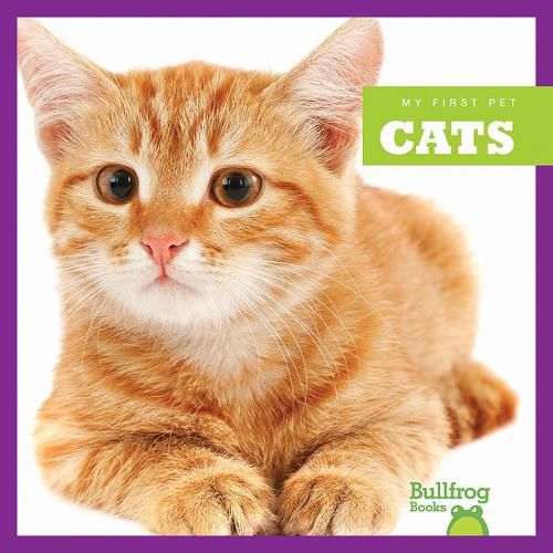 Cover image for Cats