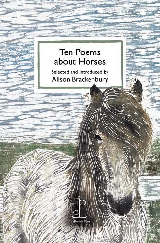 Cover image for Ten Poems about Horses