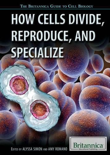 Cover image for How Cells Divide, Reproduce, and Specialize