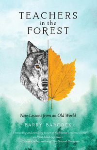 Cover image for Teachers in the Forest: New Lessons from an Old World