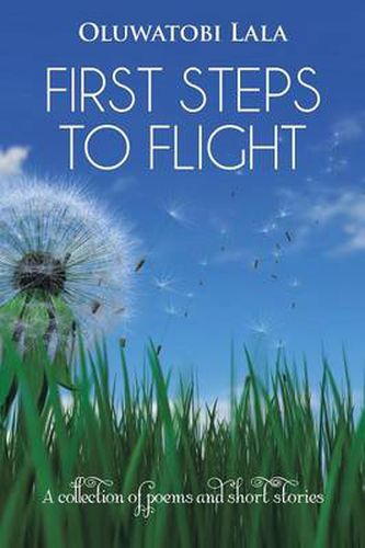 Cover image for First Steps to Flight