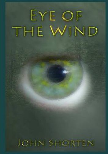 Cover image for Eye of the Wind