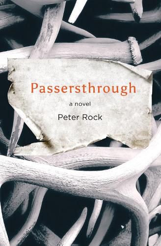 Cover image for Passersthrough