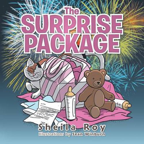Cover image for The Surprise Package
