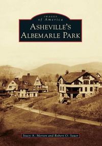 Cover image for Asheville's Albemarle Park