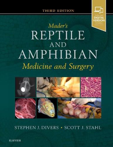 Cover image for Mader's Reptile and Amphibian Medicine and Surgery