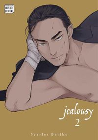 Cover image for Jealousy, Vol. 2