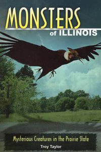 Cover image for Monsters of Illinois