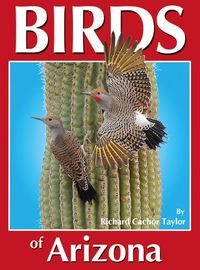 Cover image for Birds of Arizona