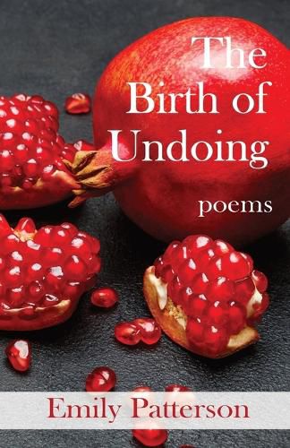 Cover image for The Birth of Undoing