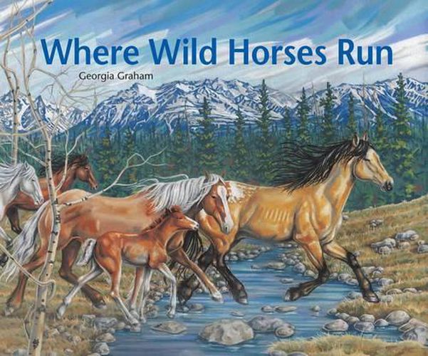 Cover image for Where Wild Horses Run