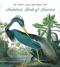 Cover image for Audubon's Birds of America: The National Audubon Society Baby Elephant Folio