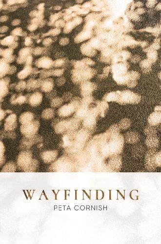 Cover image for WAYFINDING