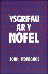 Cover image for Ysgrifau ar y Nofel