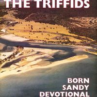 Cover image for Born Sandy Devotional 