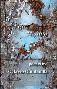 Cover image for If I Go Missing