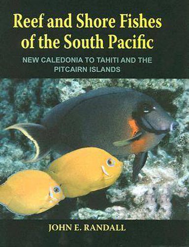 Reef and Shore Fishes of the South Pacific: New Caledonia to Tahiti and the Pitcairn Islands