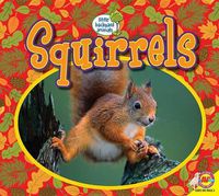 Cover image for Squirrels