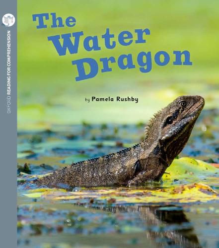 Cover image for The Water Dragon: Oxford Level 2: Pack of 6