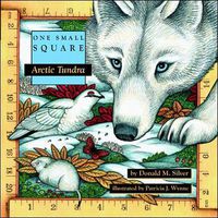 Cover image for Arctic Tundra